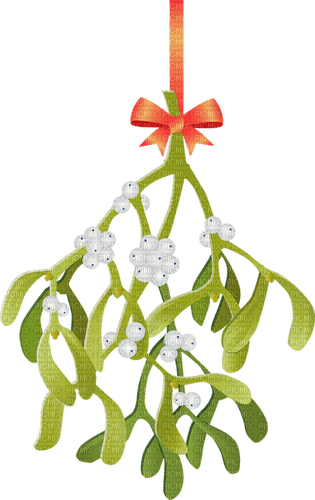 Mistletoe - kostenlos png