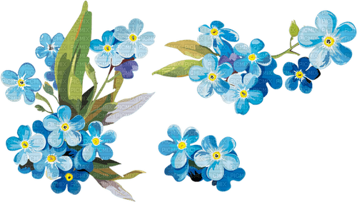 forget me not Bb2 - δωρεάν png