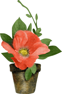 Kaz_Creations Deco Flowers Flower  Colours Plant - фрее пнг