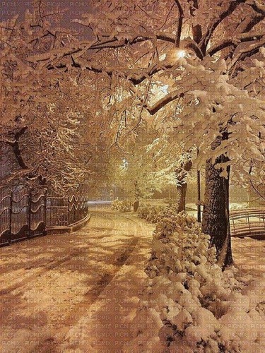 Background Winter Night - png ฟรี