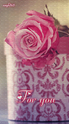 PINK ROSE BOX GLITTER - Бесплатный анимированный гифка