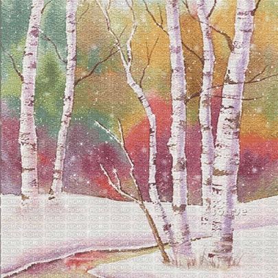 soave background animated winter forest rainbow - Free animated GIF