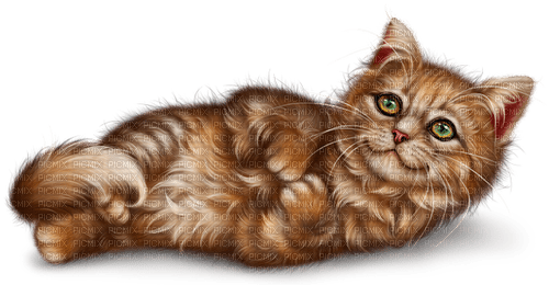 kikkapink kitty cat - Free PNG