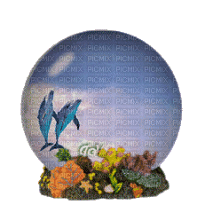 dolphin snow globe - Darmowy animowany GIF