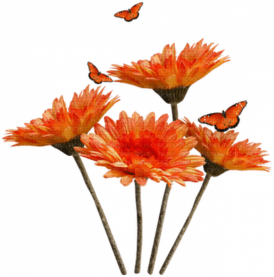 Оранжевые цветы - PNG gratuit