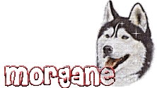 Morgane - Безплатен анимиран GIF
