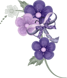 violetas - png ฟรี