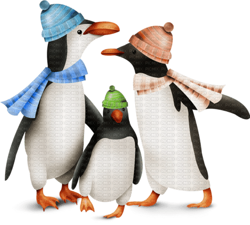pingouins - png gratis
