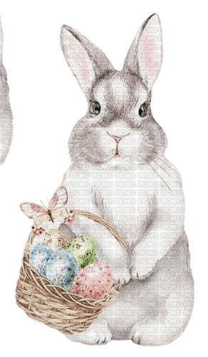 kikkapink deco  easter spring bunny - zdarma png