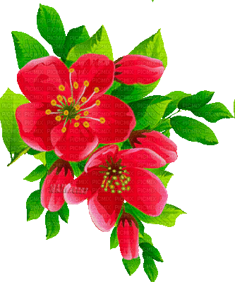 Y.A.M._Summer flowers - Nemokamas animacinis gif