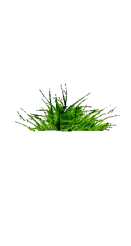 Трава - Zdarma animovaný GIF