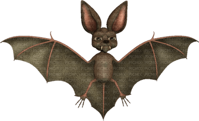 bat - ilmainen png