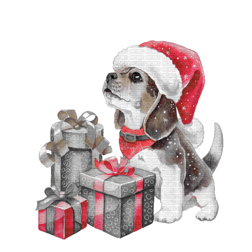 kikkapink dog winter animal animals christmas - zdarma png