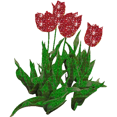 tulips - Kostenlose animierte GIFs