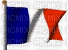 drapeau 3 - Бесплатный анимированный гифка