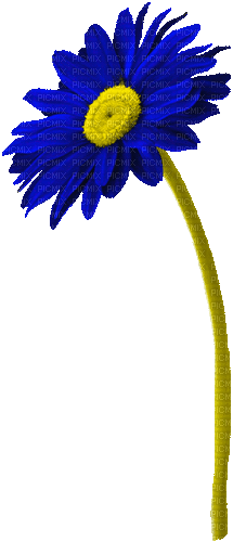 Animated.Flower.Blue - By KittyKatLuv65 - Nemokamas animacinis gif