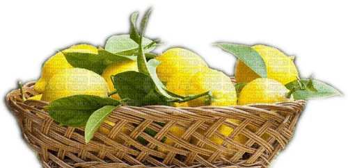 Rena Zitronenkorb - PNG gratuit
