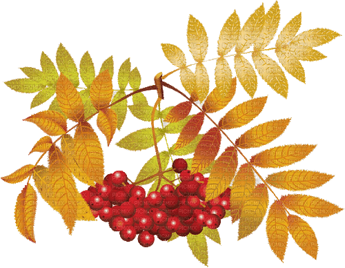 autumn automne herbst milla1959 - 免费动画 GIF