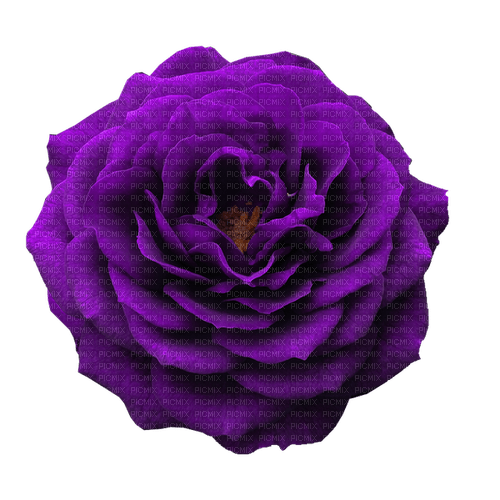kikkapink deco scrap purple flower - 無料png