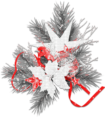 soave deco christmas winter branch flowers stars - Free PNG
