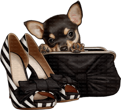zapatos - 免费PNG