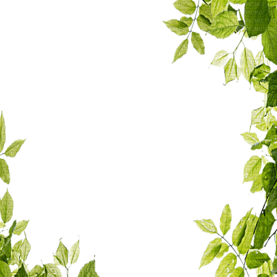 Kaz_Creations Backgrounds Background Leaves Leafs - png gratis