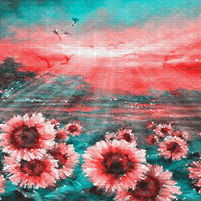 soave background animated  sunflowers   pink teal - Gratis geanimeerde GIF