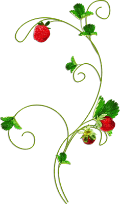 soave deco strawberry branch red green - PNG gratuit