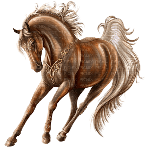 Caballa Horse - PNG gratuit