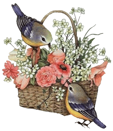 Blumenkorb, Vögel - Безплатен анимиран GIF
