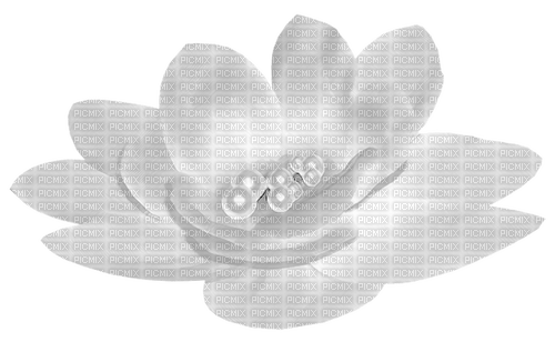 Flower.Pearls.White - PNG gratuit