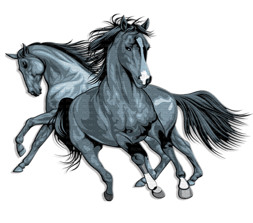 Horse, Adam64 - PNG gratuit