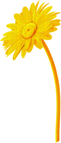 Flower.Yellow - png gratuito