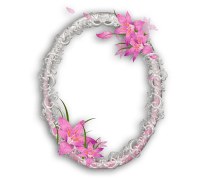 cadre fleur - PNG gratuit