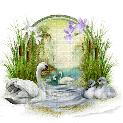 Kaz_Creations Paysage Scenery Swans - kostenlos png