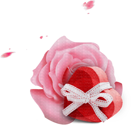 Valentine Rose - darmowe png