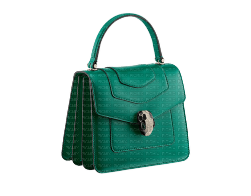 Bag Green - Bogusia - Free PNG
