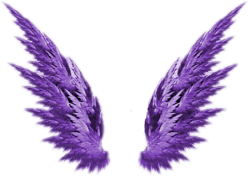 Wings 🏵asuna.yuuki🏵 - nemokama png