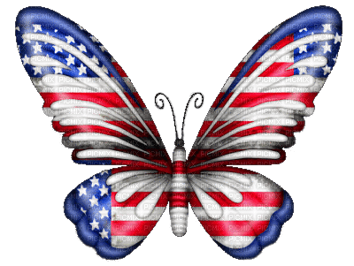 Patriotic.4th OfJuly.Scrap.Red.White.Blue - kostenlos png