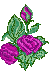 fleurs HD - Gratis geanimeerde GIF