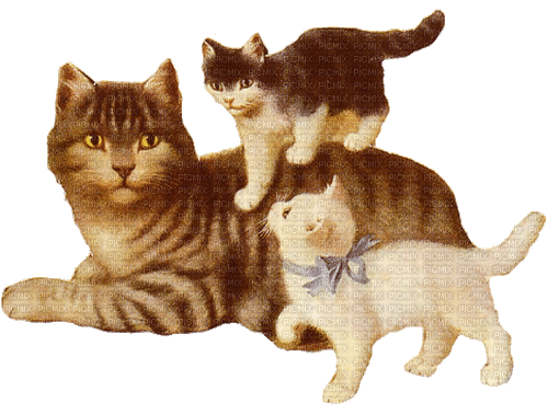 Cats, Katzen, Vintage - Free animated GIF