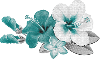 soave deco flowers summer tropical branch - 免费PNG
