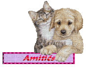 chat chien l amitié - GIF animado gratis