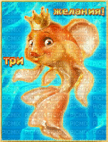 золотая рыбка - Бесплатный анимированный гифка