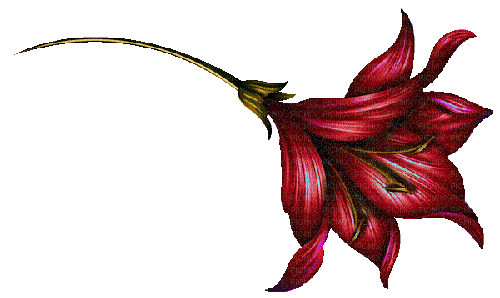 red flower glitter - GIF animado grátis