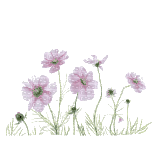 Цветочки - Besplatni animirani GIF