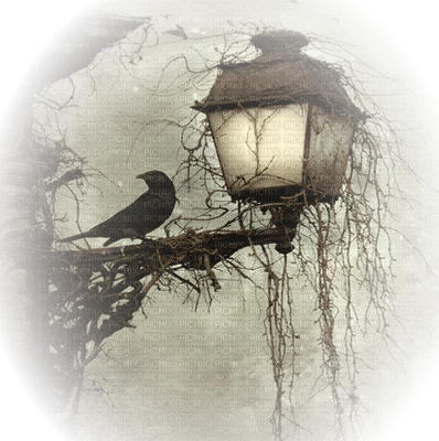 lantern goth raven lanterne corbeau - darmowe png