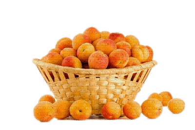 fruit apricots bp - gratis png