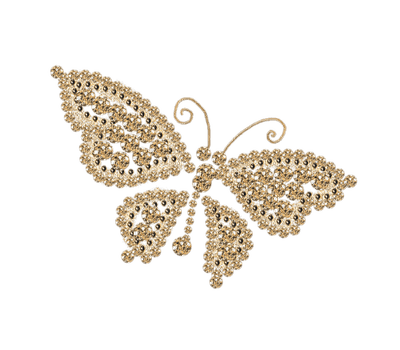 butterfly anastasia - PNG gratuit