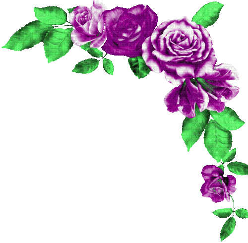 Animated.Roses.Purple - By KittyKatLuv65 - Безплатен анимиран GIF
